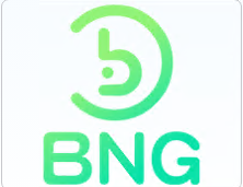 BNG电子